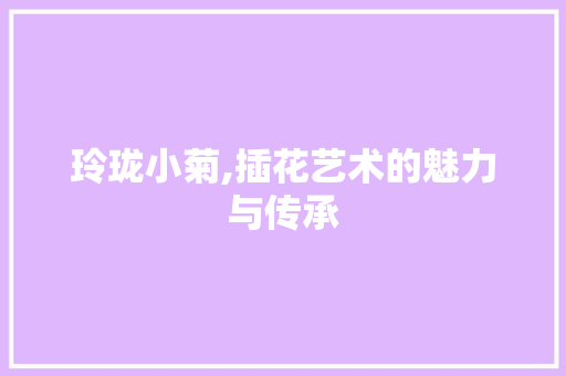 玲珑小菊,插花艺术的魅力与传承