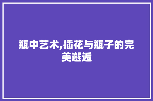 瓶中艺术,插花与瓶子的完美邂逅