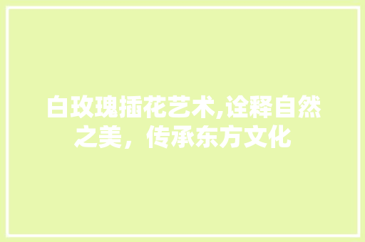 白玫瑰插花艺术,诠释自然之美，传承东方文化