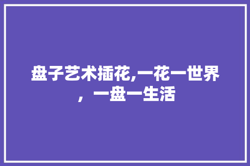 盘子艺术插花,一花一世界，一盘一生活