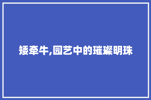 矮牵牛,园艺中的璀璨明珠 花朵知识 矮牵牛,园艺中的璀璨明珠 花朵知识