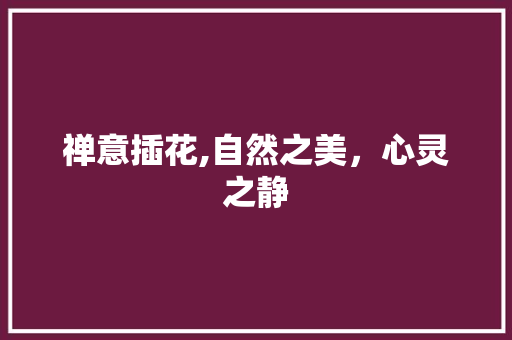 禅意插花,自然之美，心灵之静