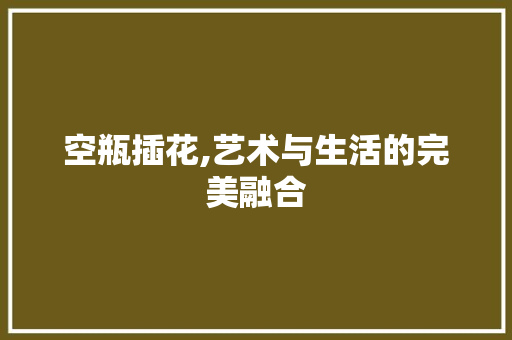 空瓶插花,艺术与生活的完美融合