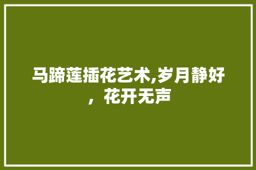 马蹄莲插花艺术,岁月静好，花开无声