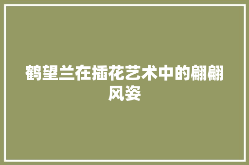 鹤望兰在插花艺术中的翩翩风姿