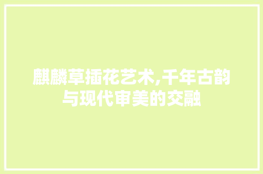 麒麟草插花艺术,千年古韵与现代审美的交融