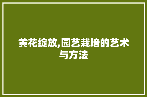 黄花绽放,园艺栽培的艺术与方法