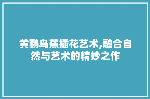 黄鹂鸟蕉插花艺术,融合自然与艺术的精妙之作