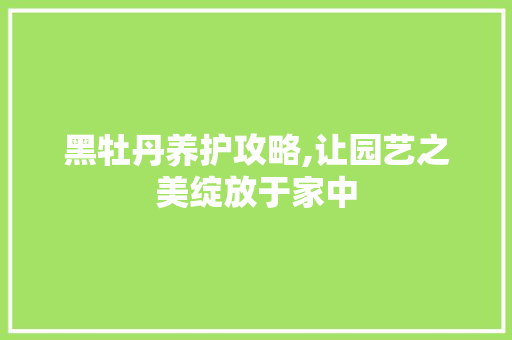 黑牡丹养护攻略,让园艺之美绽放于家中