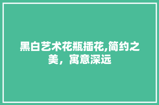 黑白艺术花瓶插花,简约之美，寓意深远
