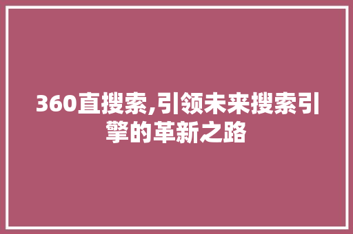 360直搜索,引领未来搜索引擎的革新之路
