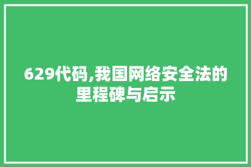 629代码,我国网络安全法的里程碑与启示