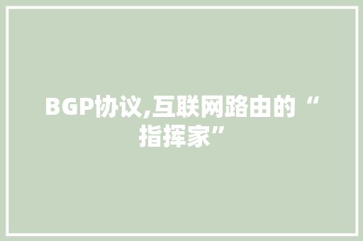 BGP协议,互联网路由的“指挥家” BGP协议,互联网路由的“指挥家”