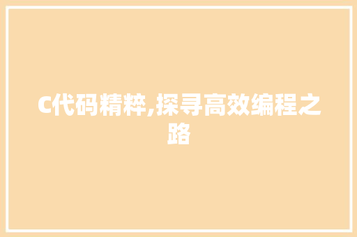 C代码精粹,探寻高效编程之路