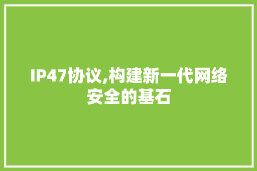 IP47协议,构建新一代网络安全的基石