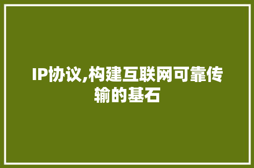 IP协议,构建互联网可靠传输的基石