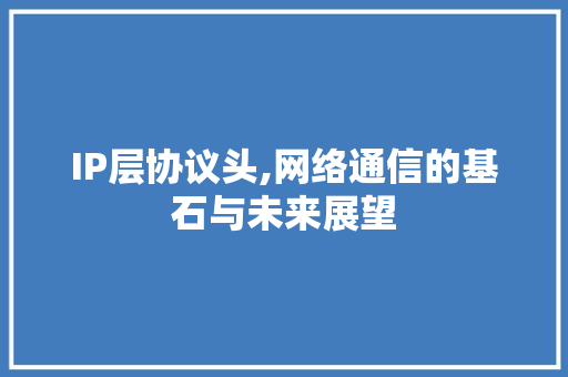 IP层协议头,网络通信的基石与未来展望