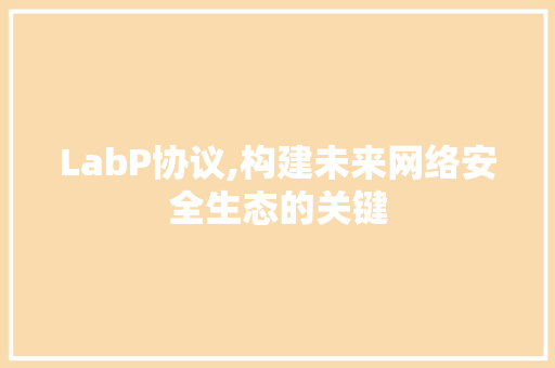 LabP协议,构建未来网络安全生态的关键