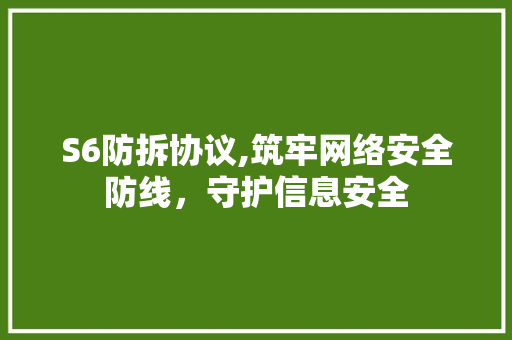 S6防拆协议,筑牢网络安全防线，守护信息安全