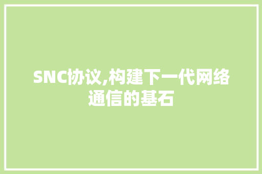 SNC协议,构建下一代网络通信的基石
