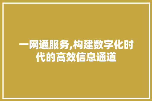 一网通服务,构建数字化时代的高效信息通道