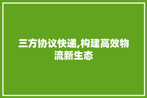 三方协议快递,构建高效物流新生态