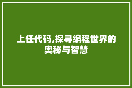 上任代码,探寻编程世界的奥秘与智慧