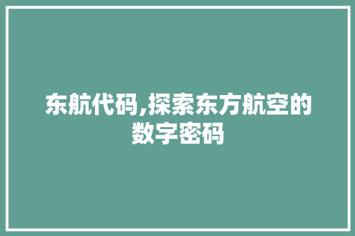 东航代码,探索东方航空的数字密码