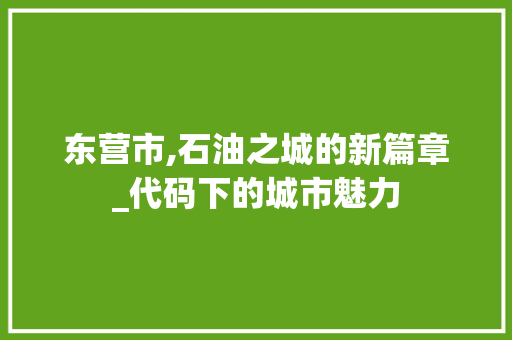 东营市,石油之城的新篇章_代码下的城市魅力