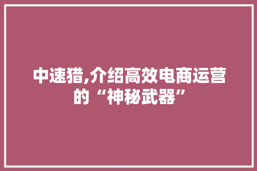 中速猎,介绍高效电商运营的“神秘武器”