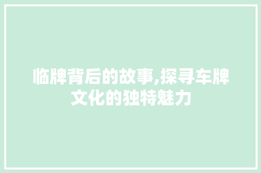 临牌背后的故事,探寻车牌文化的独特魅力