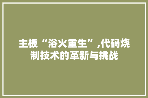 主板“浴火重生”,代码烧制技术的革新与挑战