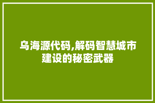 乌海源代码,解码智慧城市建设的秘密武器