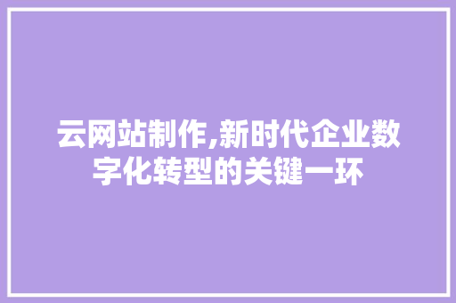 云网站制作,新时代企业数字化转型的关键一环