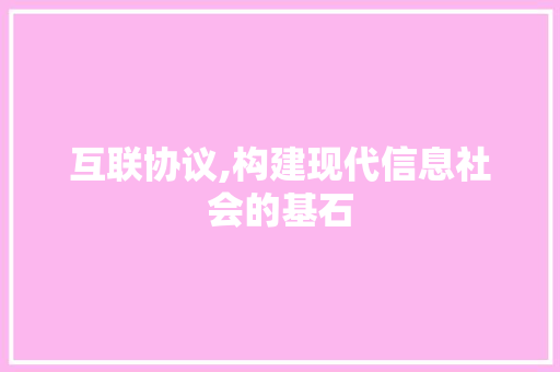 互联协议,构建现代信息社会的基石