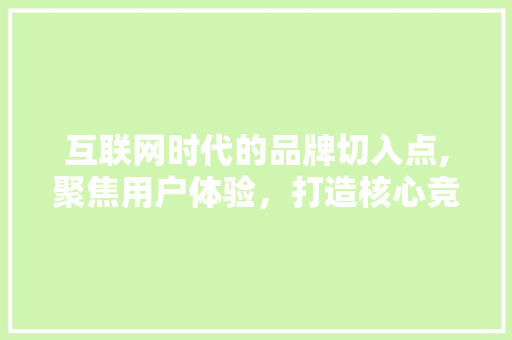 互联网时代的品牌切入点,聚焦用户体验，打造核心竞争力