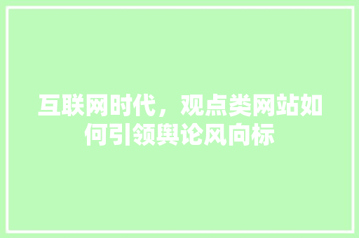 互联网时代，观点类网站如何引领舆论风向标