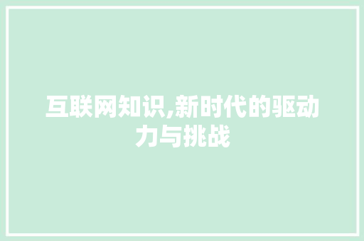 互联网知识,新时代的驱动力与挑战