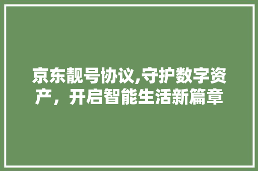京东靓号协议,守护数字资产，开启智能生活新篇章