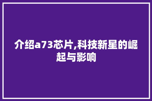 介绍a73芯片,科技新星的崛起与影响