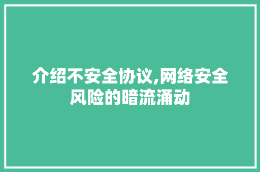 介绍不安全协议,网络安全风险的暗流涌动