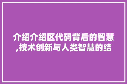 介绍介绍区代码背后的智慧,技术创新与人类智慧的结晶