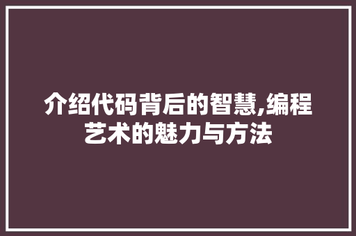介绍代码背后的智慧,编程艺术的魅力与方法