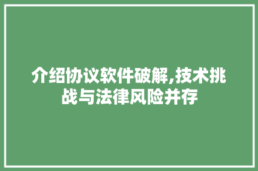 介绍协议软件破解,技术挑战与法律风险并存