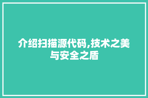 介绍扫描源代码,技术之美与安全之盾