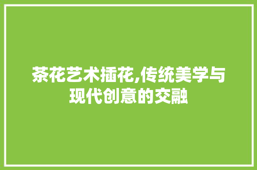 茶花艺术插花,传统美学与现代创意的交融