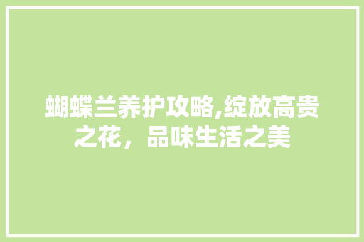 蝴蝶兰养护攻略,绽放高贵之花，品味生活之美