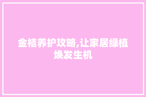 金桔养护攻略,让家居绿植焕发生机