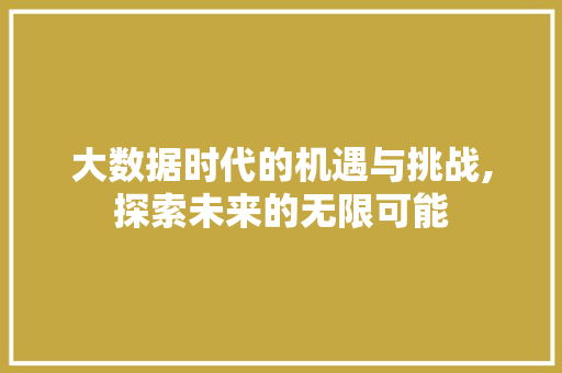 大数据时代的机遇与挑战,探索未来的无限可能