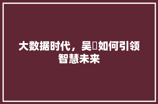 大数据时代，吴垚如何引领智慧未来
